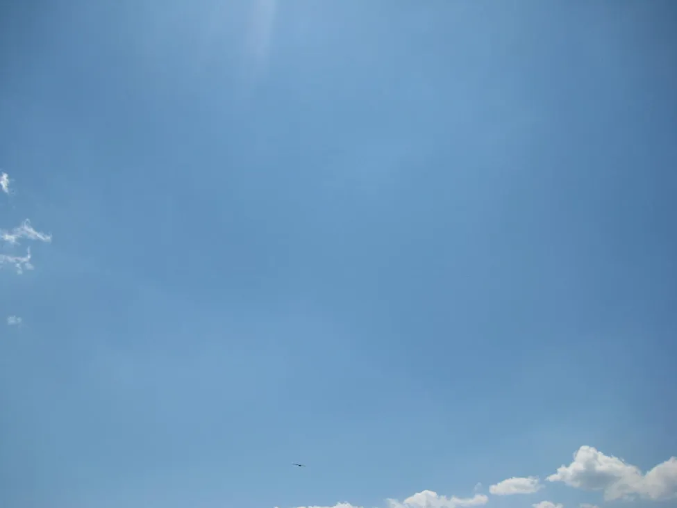 Klicka för att förstora