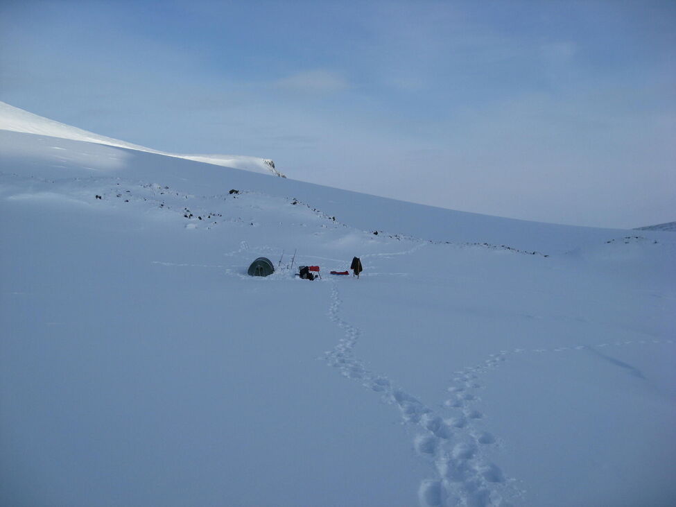 Klicka för att förstora