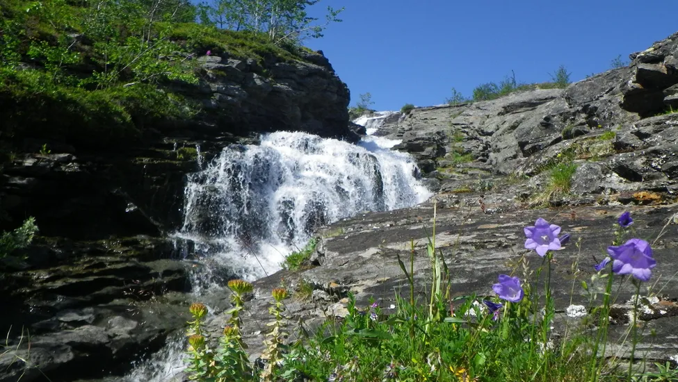 Klicka för att förstora