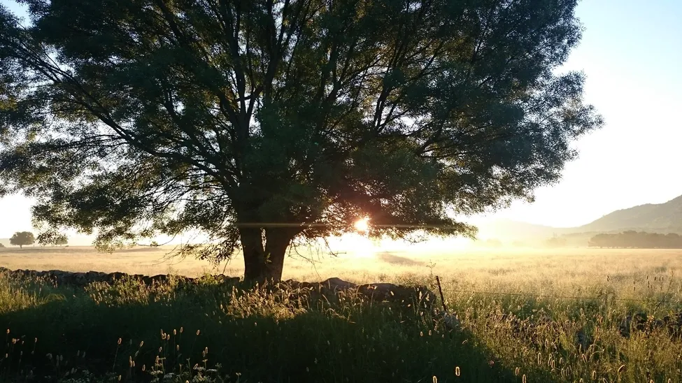 Klicka för att förstora