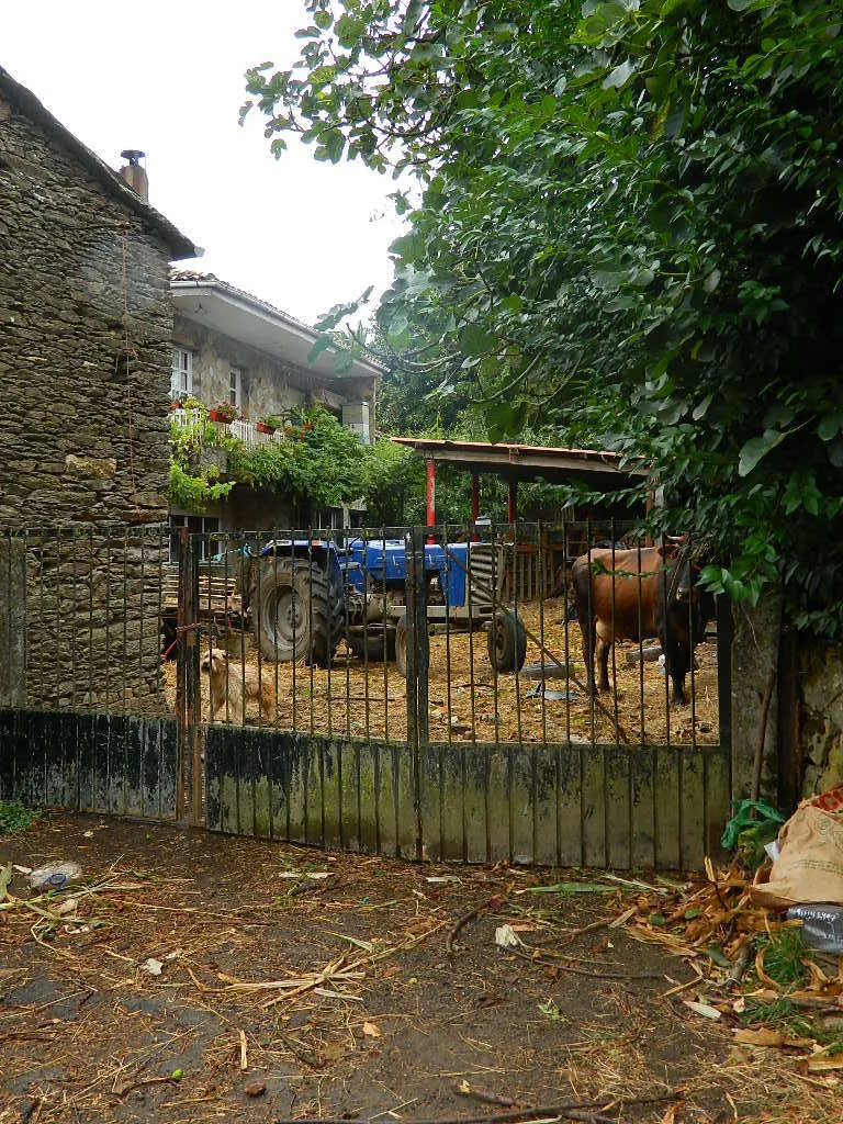 Klicka för att förstora