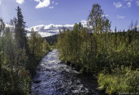 Höstvandring runt Boarddemassivet (1)