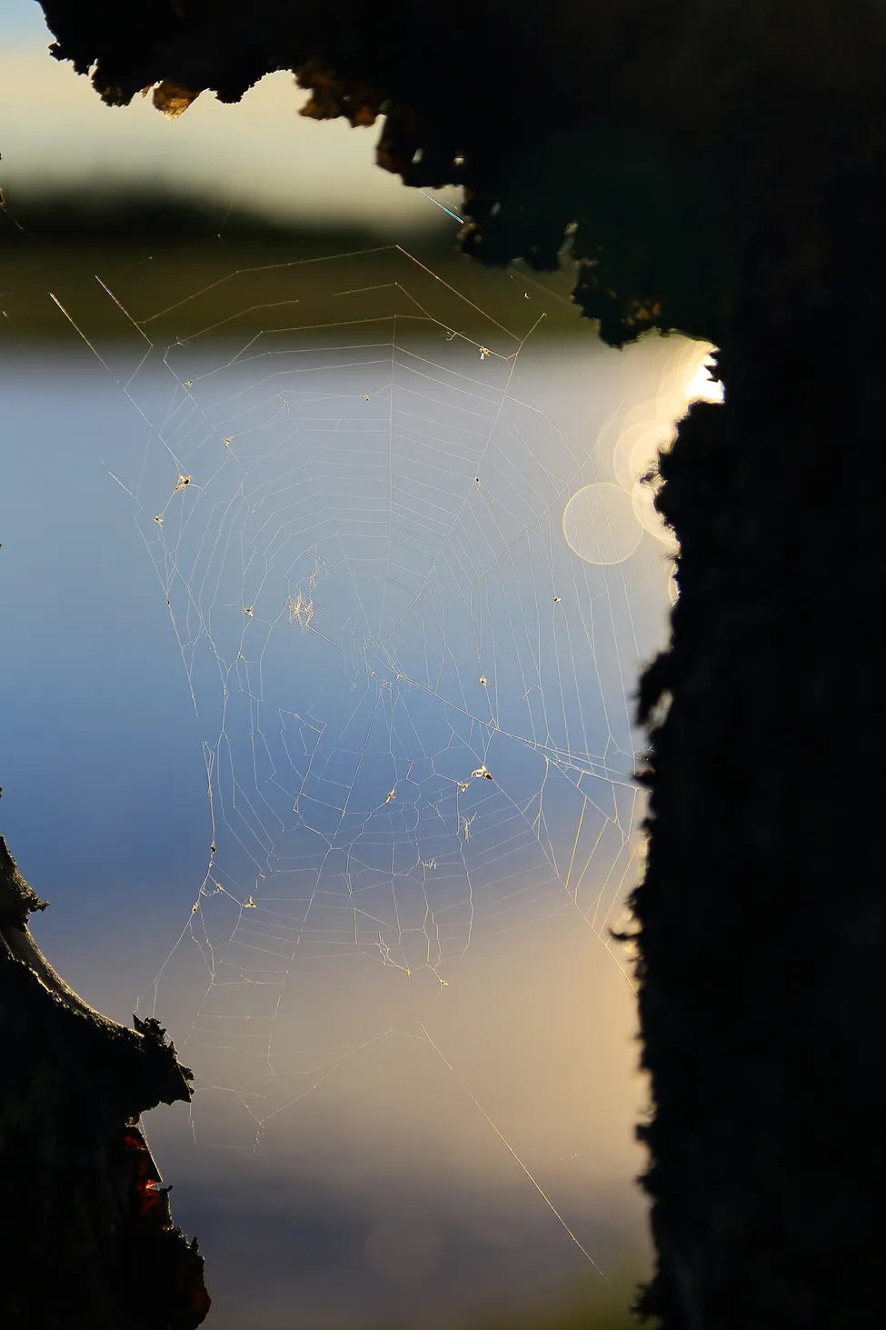 Klicka för att förstora