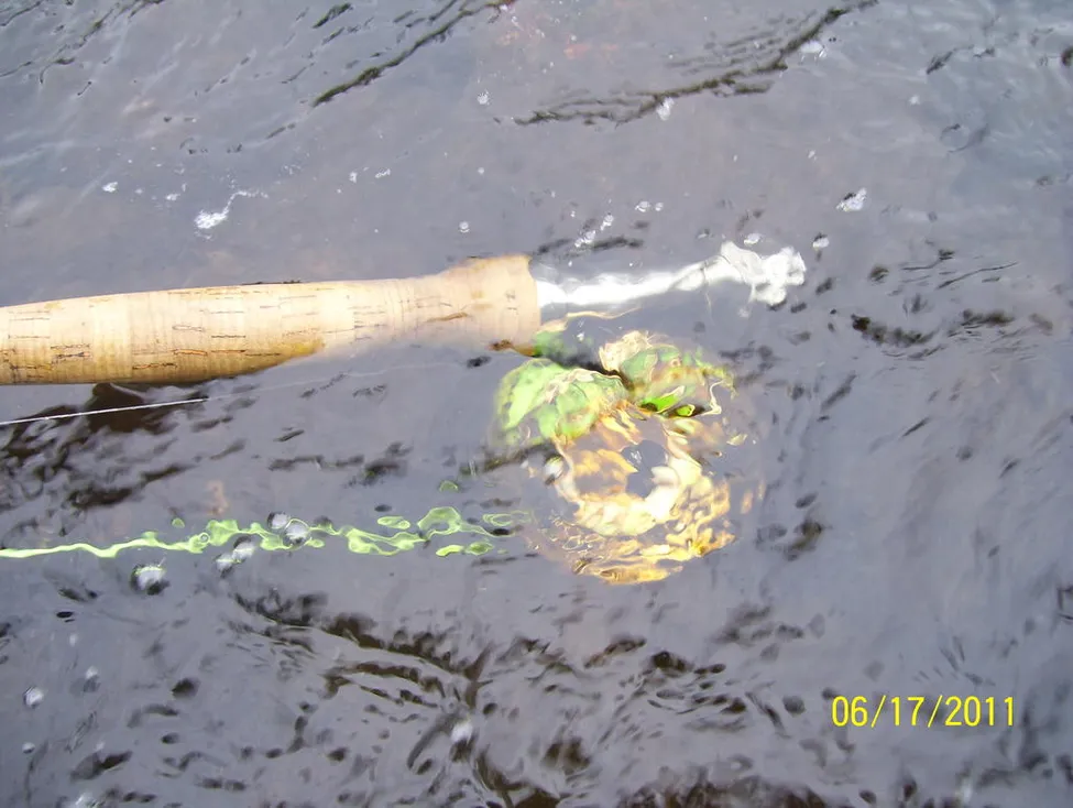 Klicka för att förstora