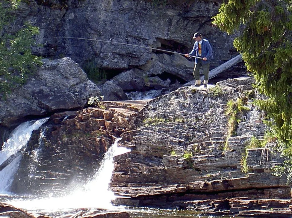 Klicka för att förstora