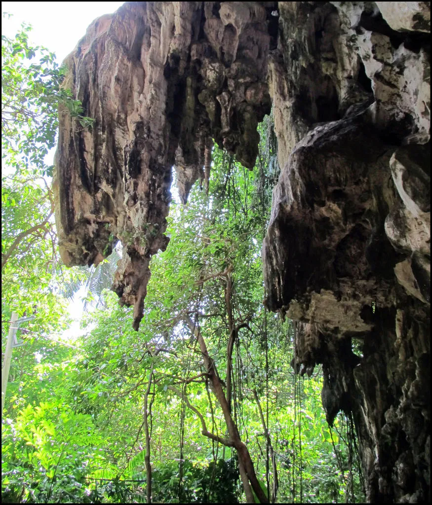 Klicka för att förstora