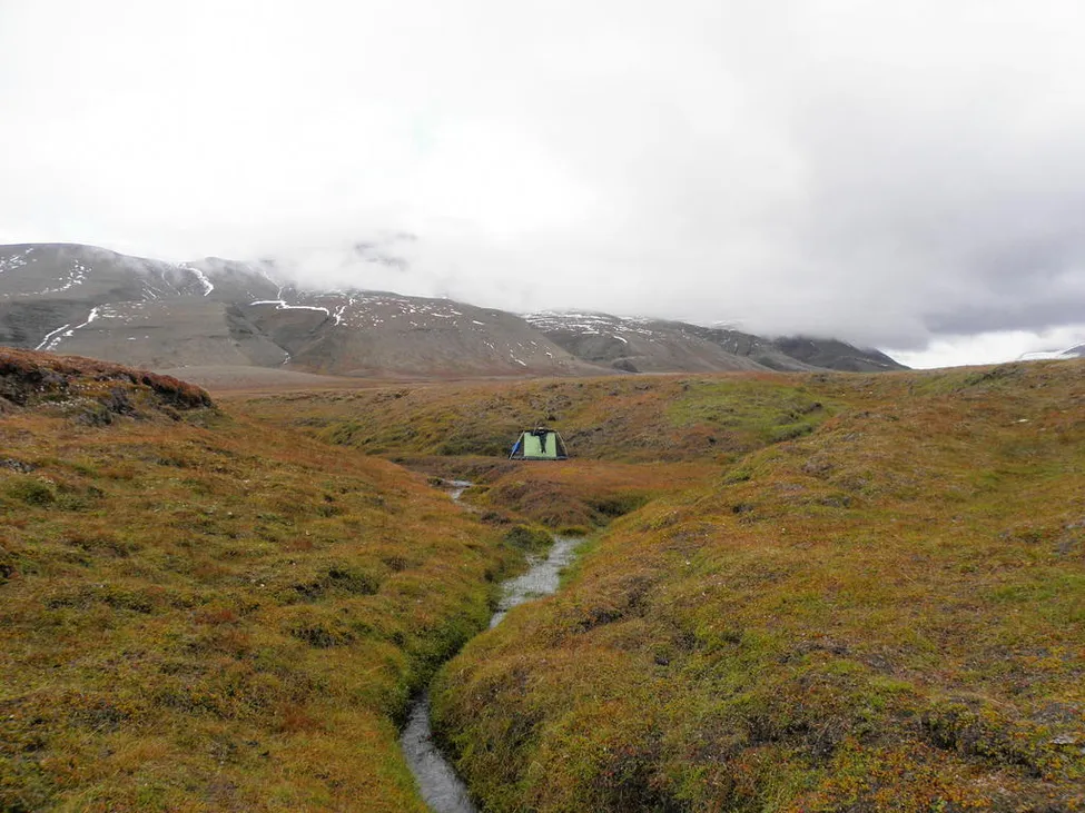 Klicka för att förstora