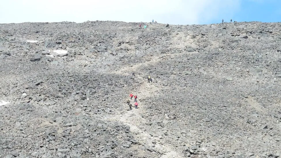 Klicka för att förstora