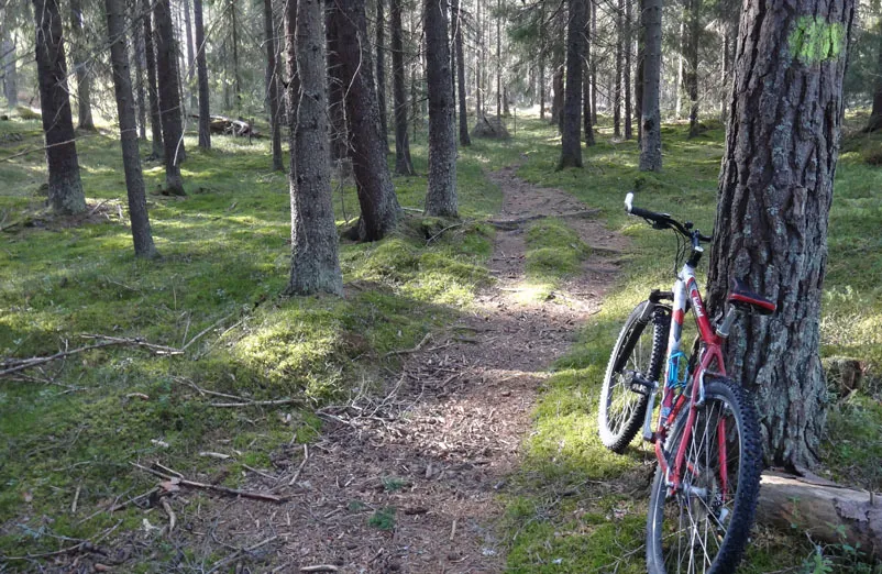 Klicka för att förstora