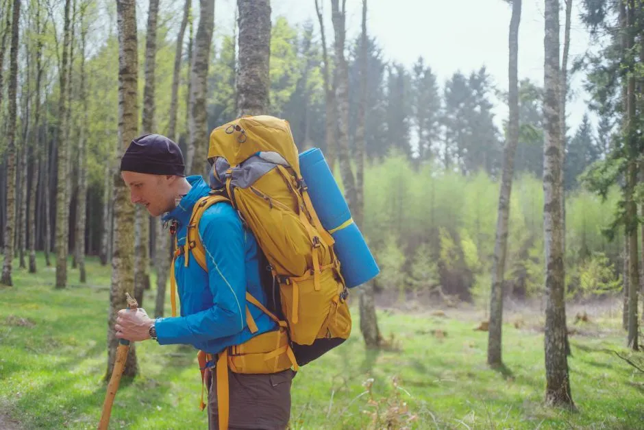 Klicka för att förstora