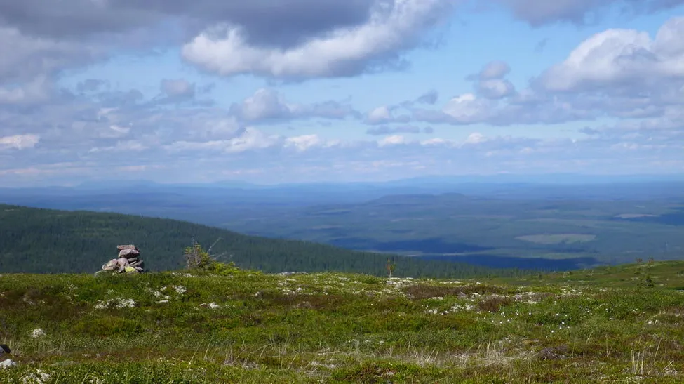 Klicka för att förstora