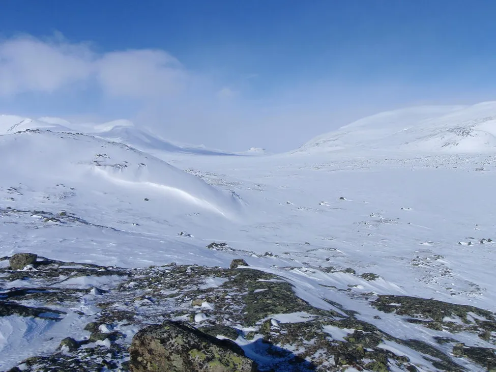 Klicka för att förstora