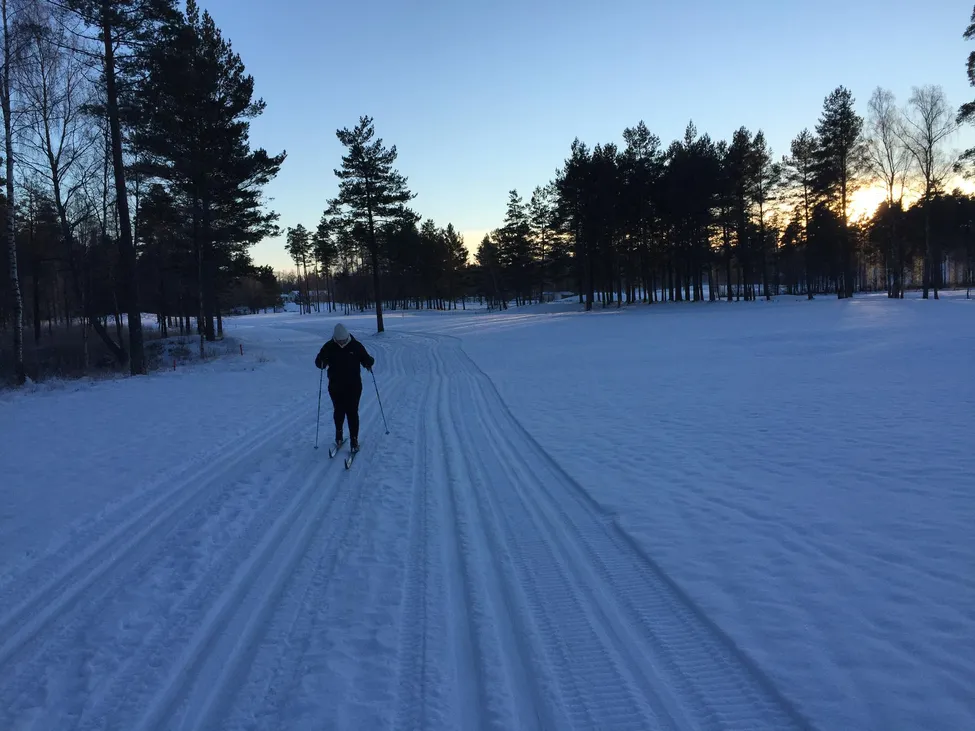 Klicka för att förstora