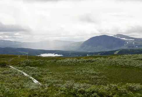 Vandring Saxnäs-Borgafjäll