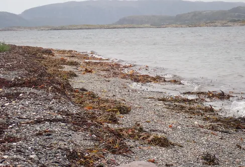 Dag 91 Lysöysundet - Brandsöya