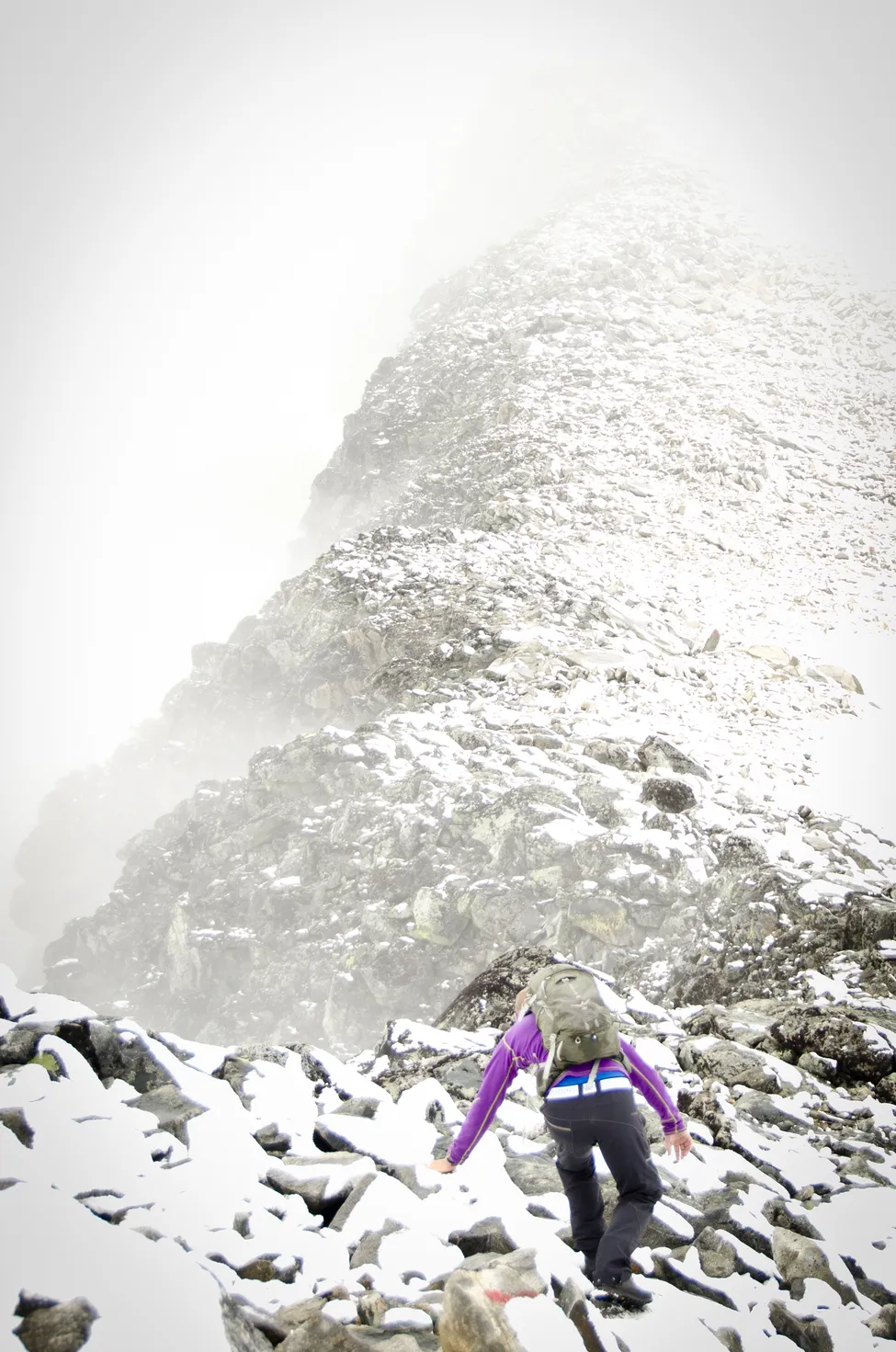 Klicka för att förstora