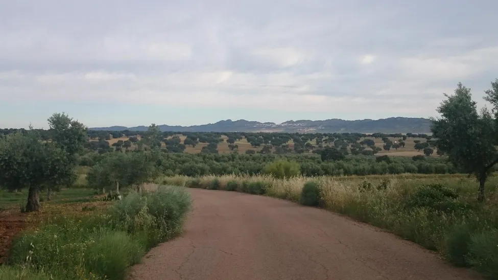 Klicka för att förstora