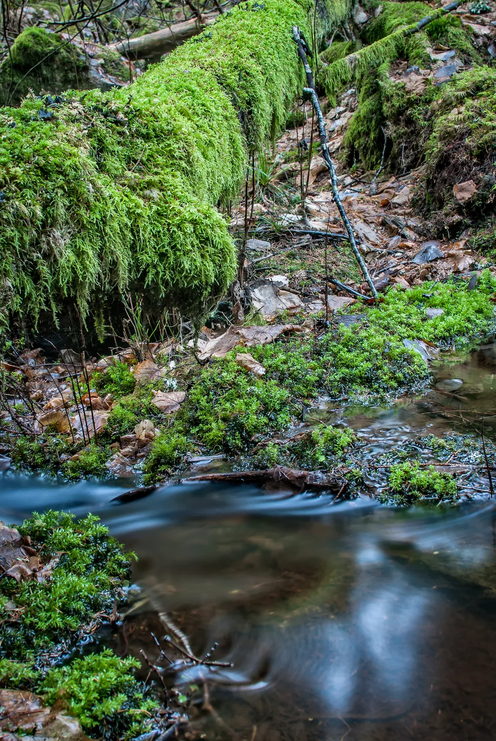 Klicka för att förstora