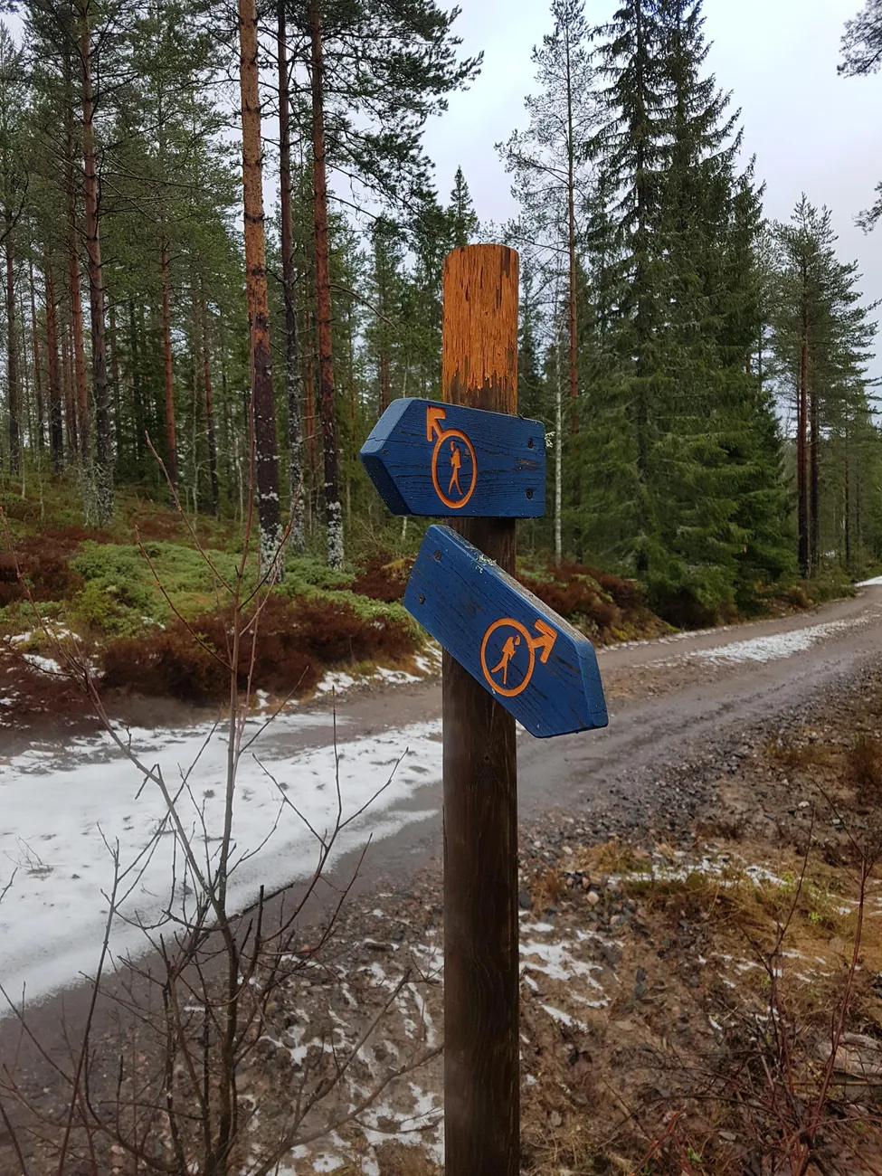 Klicka för att förstora