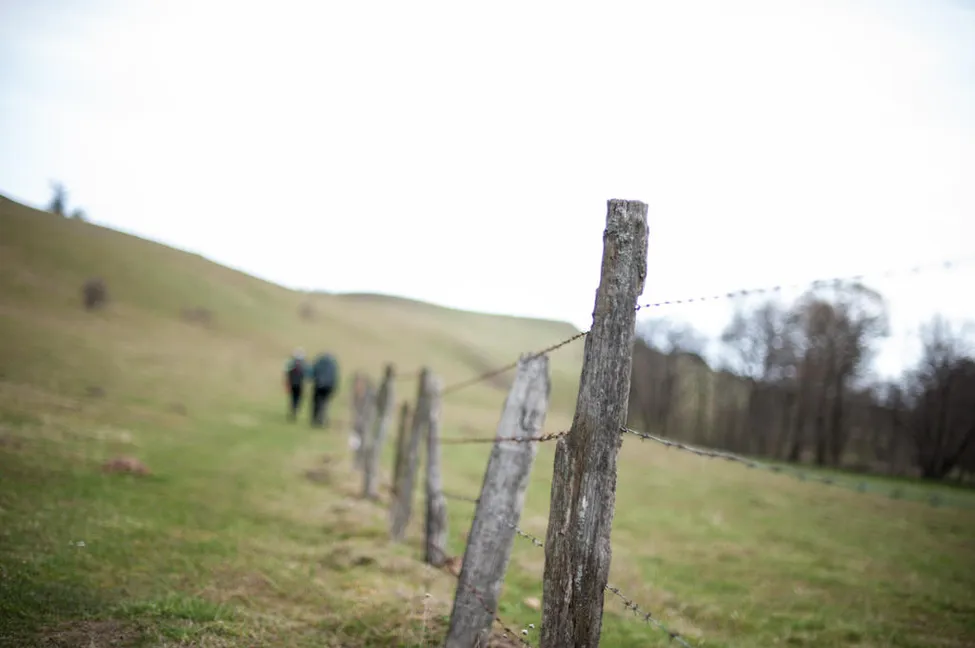 Klicka för att förstora