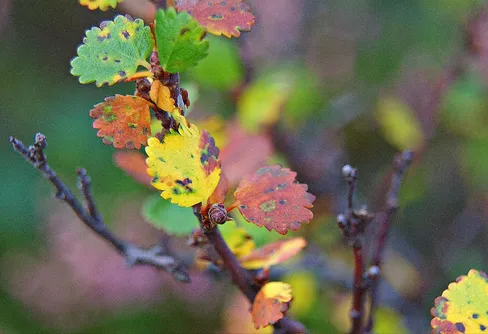 Vad är den bästa årstiden för friluftsliv?