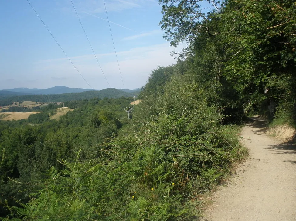 Klicka för att förstora