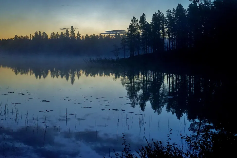 Klicka för att förstora