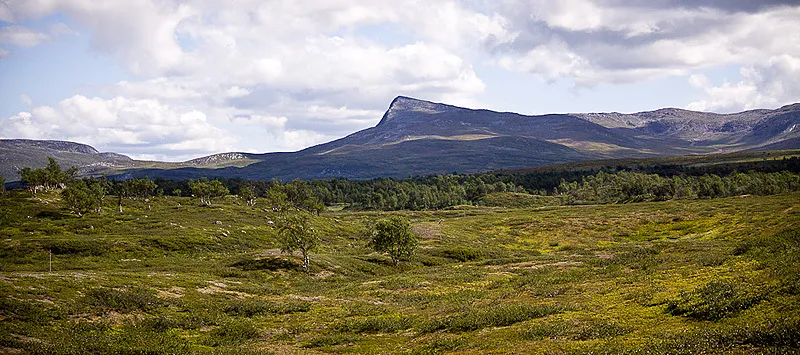 Klicka för att förstora