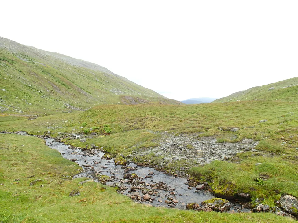 Klicka för att förstora