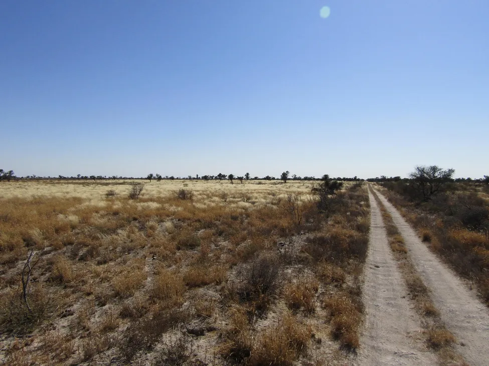 Klicka för att förstora