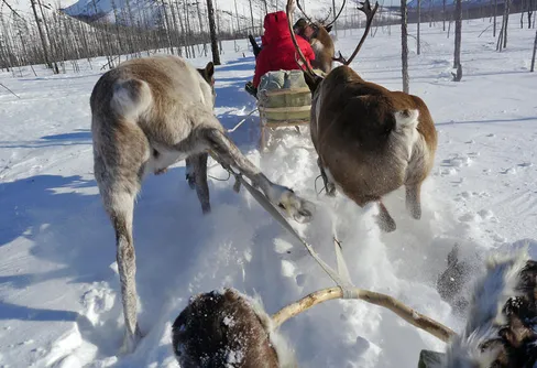 Expedition Frozen Frontier, sista veckan; 