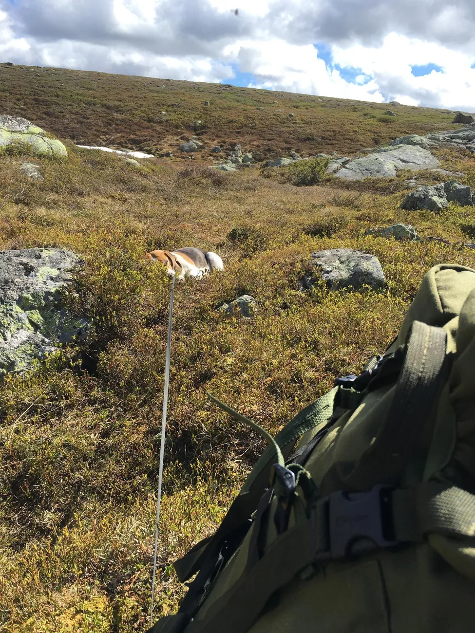 Klicka för att förstora