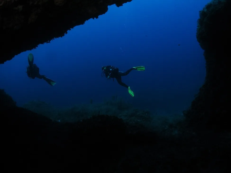 Klicka för att förstora