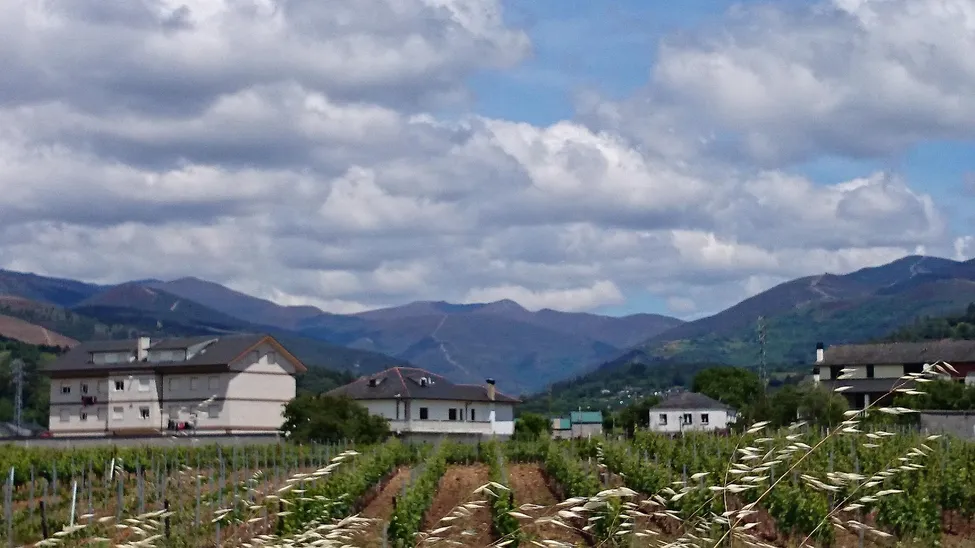 Klicka för att förstora