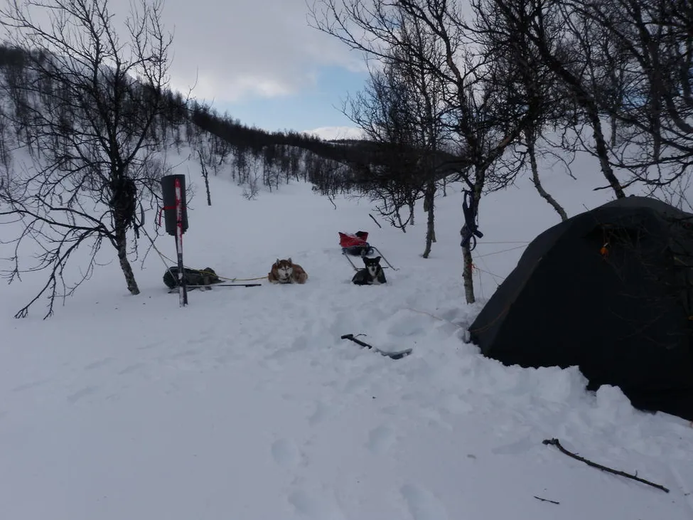 Klicka för att förstora