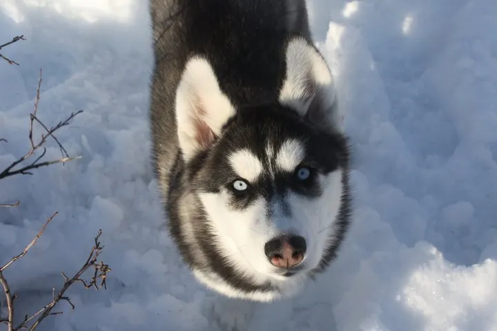 Klicka för att förstora