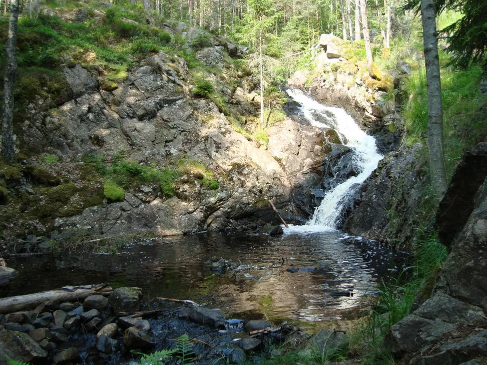 Klicka för att förstora
