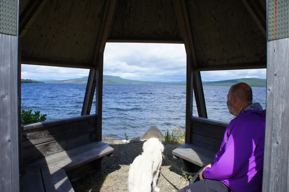 Klicka för att förstora