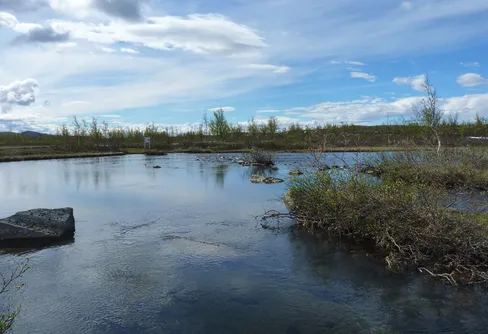 En pensionärs problem i Pårek(2)