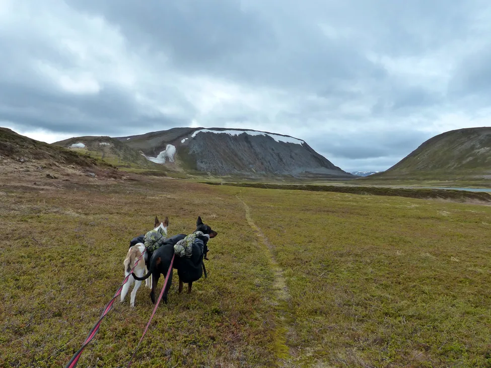Klicka för att förstora