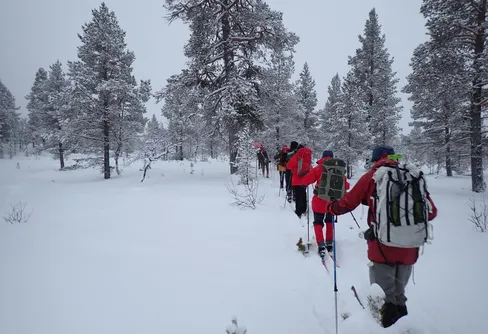 Fin skogstur i lätt snöfall 260101