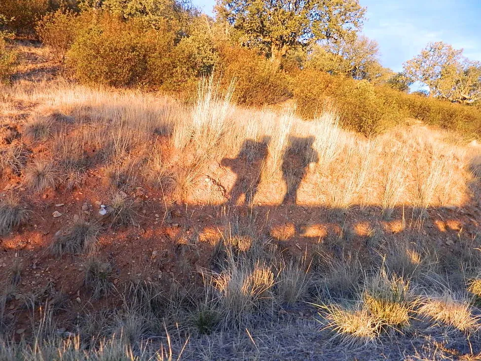 Klicka för att förstora