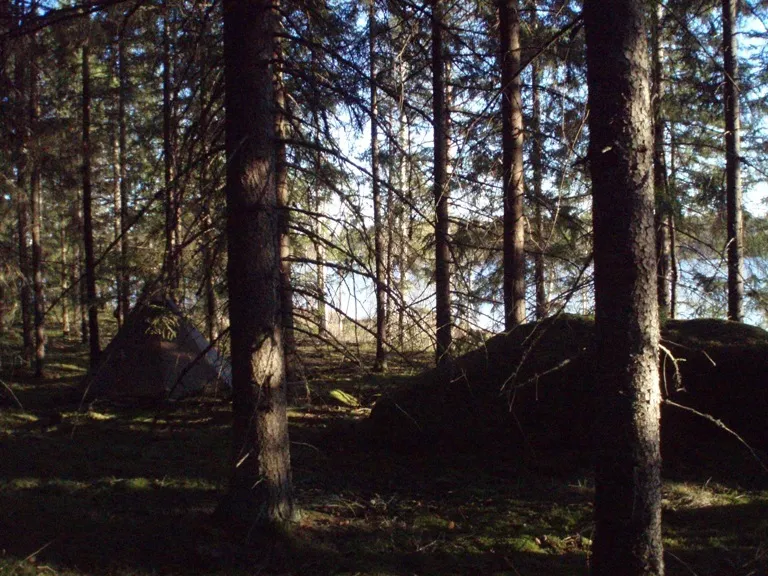 Klicka för att förstora