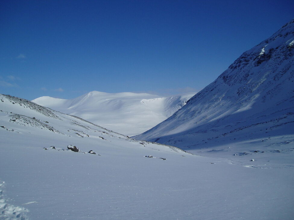 Klicka för att förstora