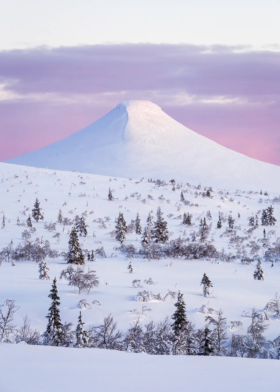 Klicka för att förstora