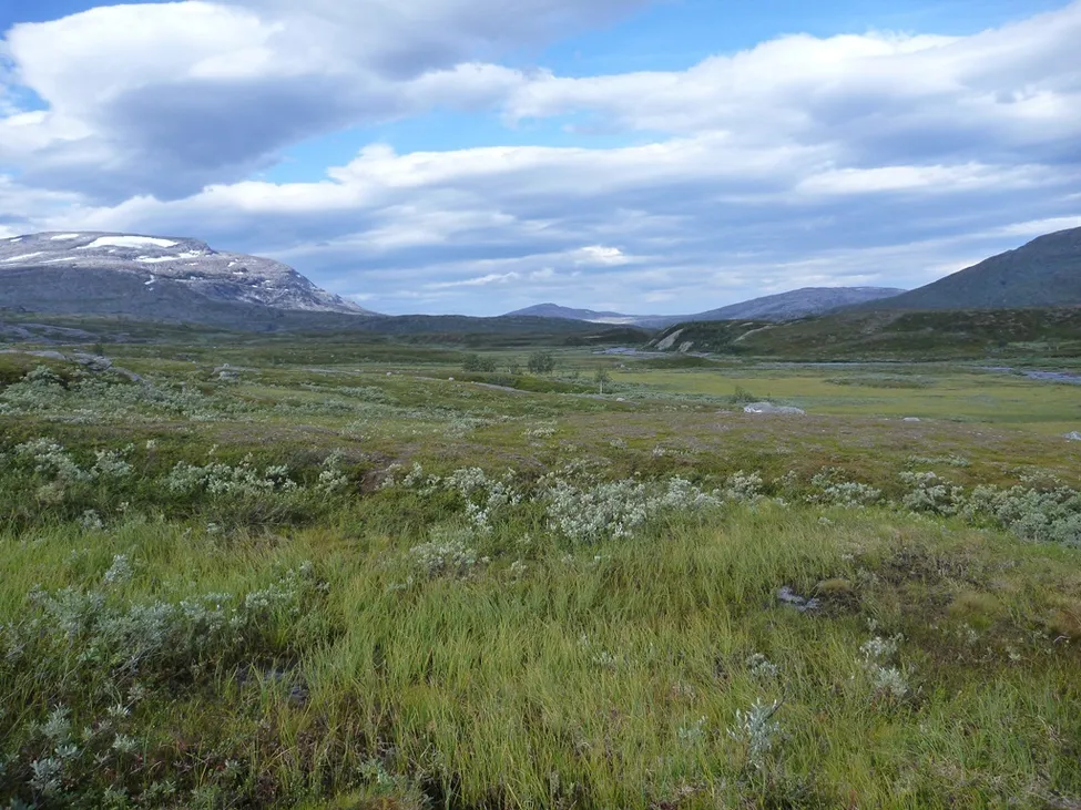 Klicka för att förstora