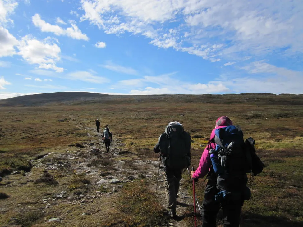 Klicka för att förstora