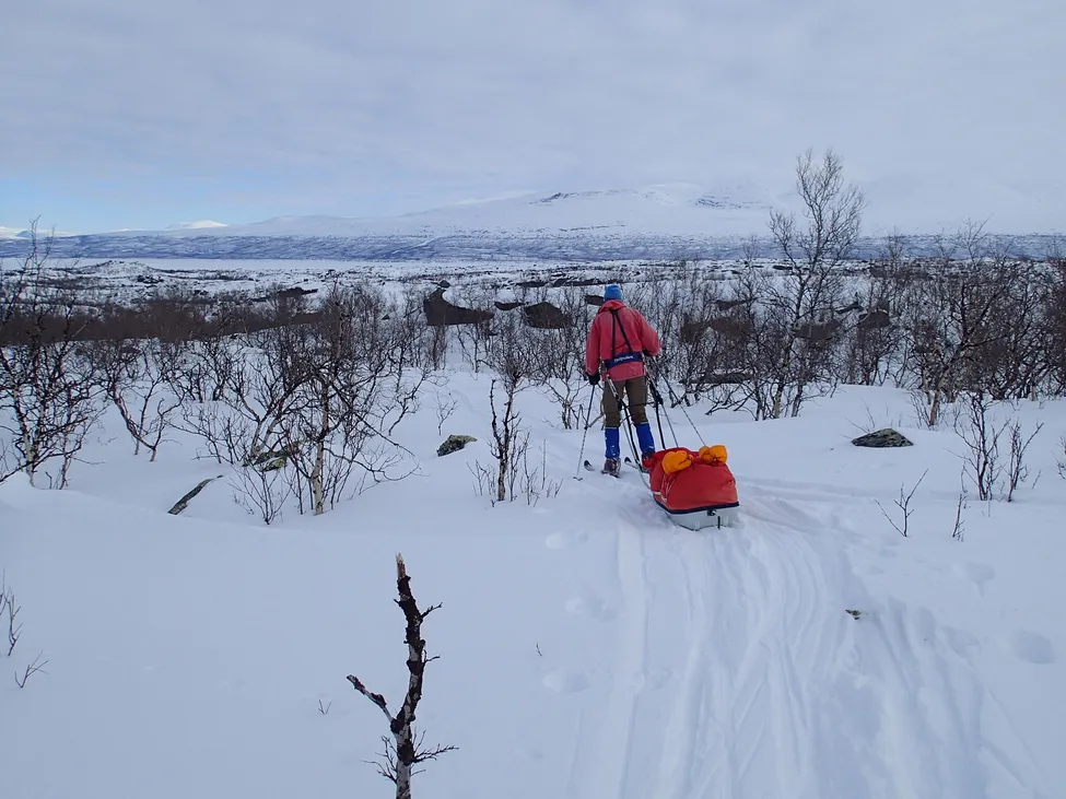 Klicka för att förstora