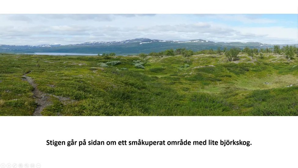 Klicka för att förstora