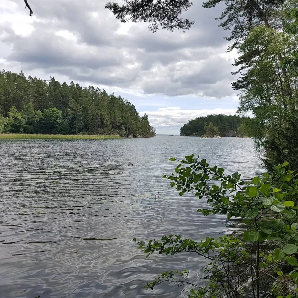 Klicka för att förstora